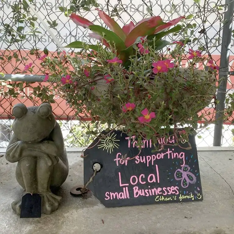 Ethans Courtyard and Patio | Medium Frog Statue| Bonita Springs | Water Fountains, Wall Fountains, Mailboxes, and more