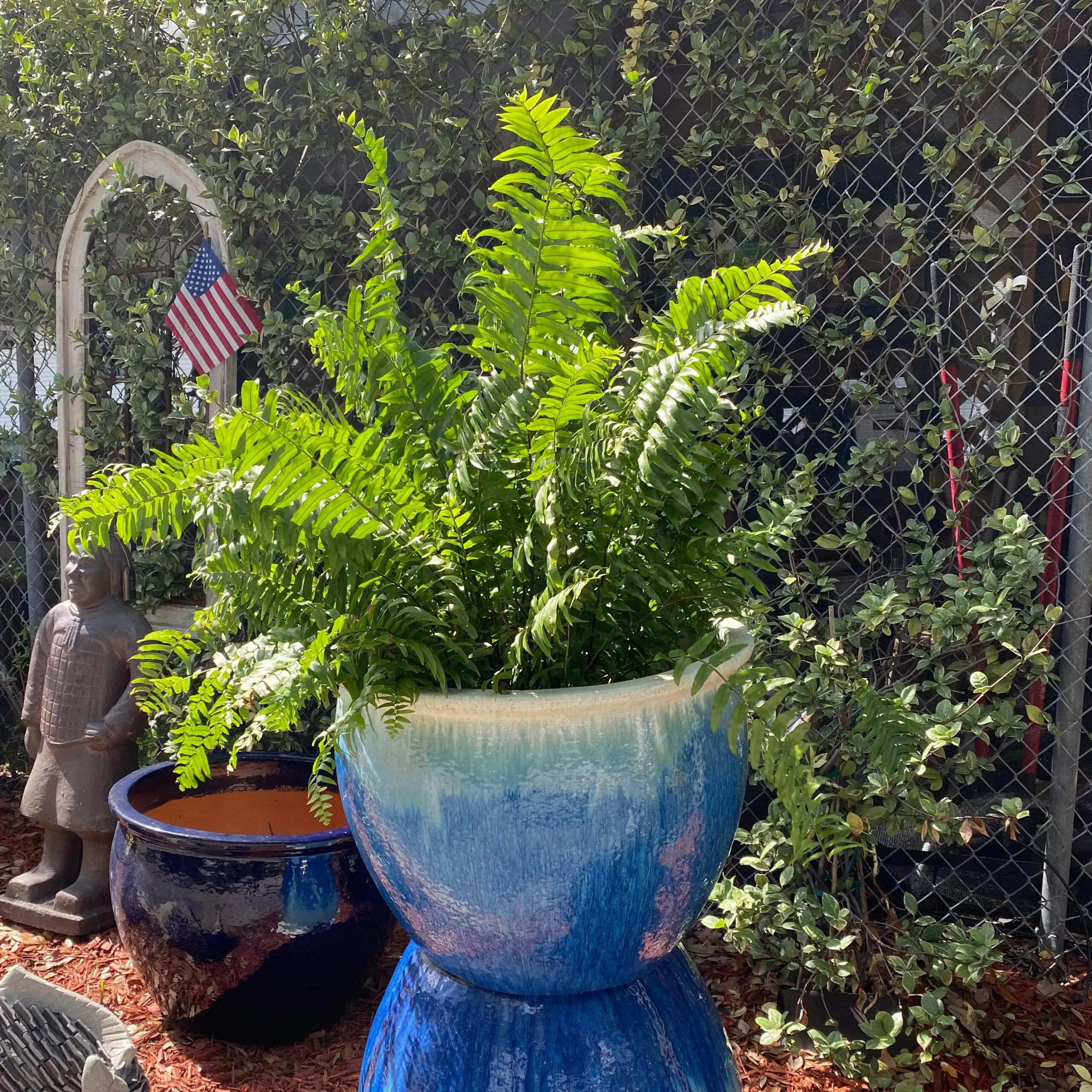 Ethans Courtyard and Patio | large blue glazed ceramic planters