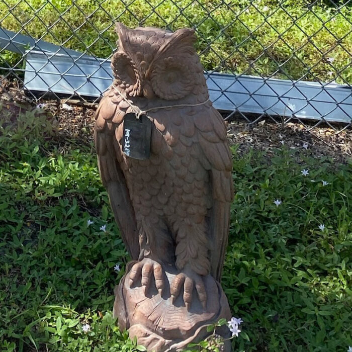 Owl Statue Ethans Courtyard and Patio