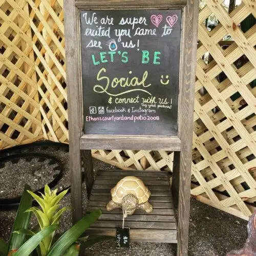 Ethans Courtyard and Patio | Turtle Sculpture | Bonita Springs Outdoor decor Store | Water Fountains, Wall Fountains, Mailboxes, and more