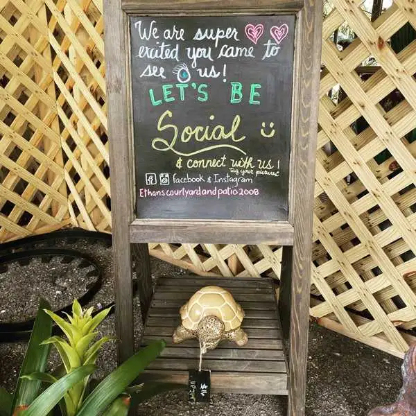 Ethans Courtyard and Patio | Turtle Sculpture | Bonita Springs Outdoor decor Store | Water Fountains, Wall Fountains, Mailboxes, and more